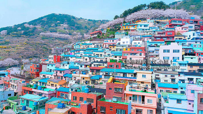 甘川文化村彩色小屋像童話!爬坡拍照拍到腿軟但超值得