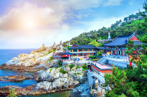 海東龍宮寺海邊看海景！浪花拍在廟前，真的感動!